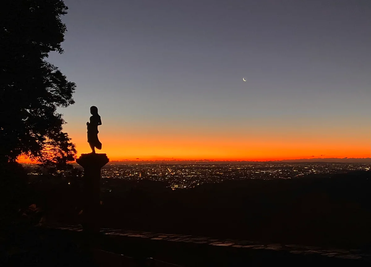 投稿写真：高尾山展望台付近からの夜景