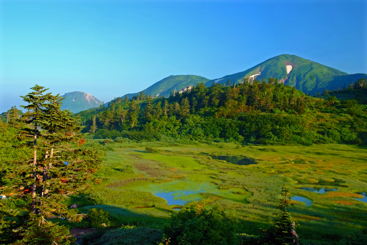 投稿写真：夏の朝、高谷池