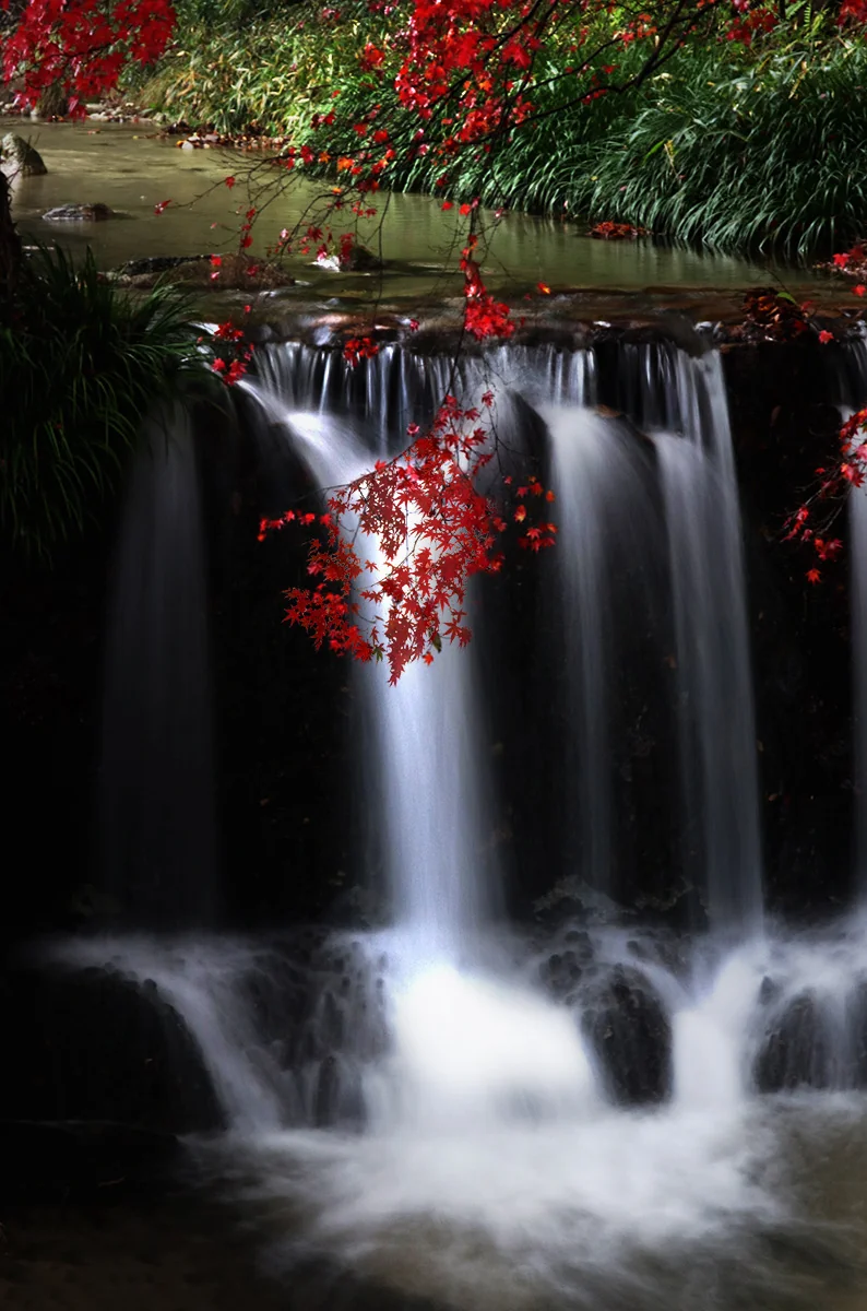 投稿写真：omi-shrine 近江神社