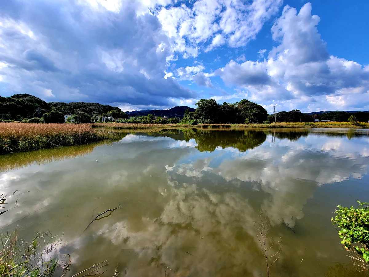 投稿写真：鏡面