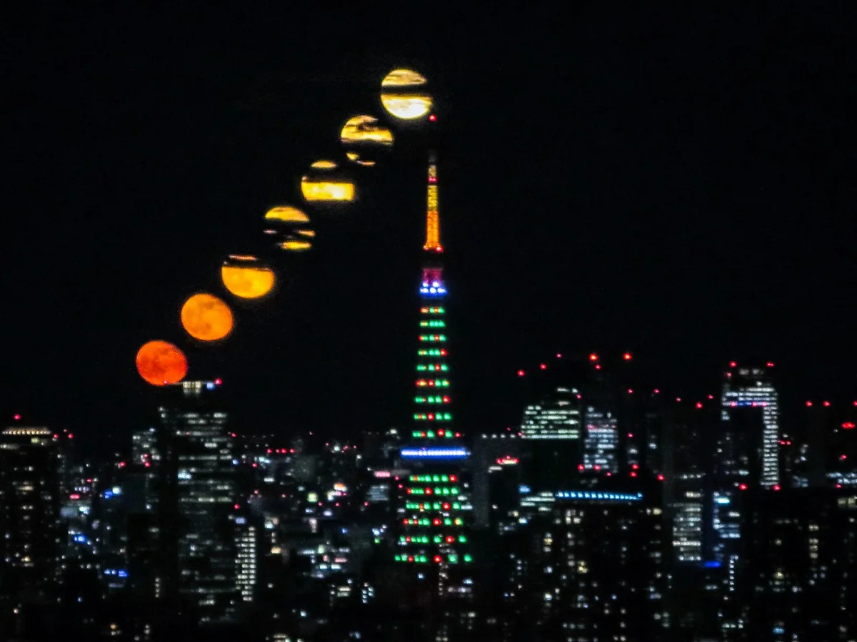 投稿写真：東京タワーの天辺目指して昇る居待月