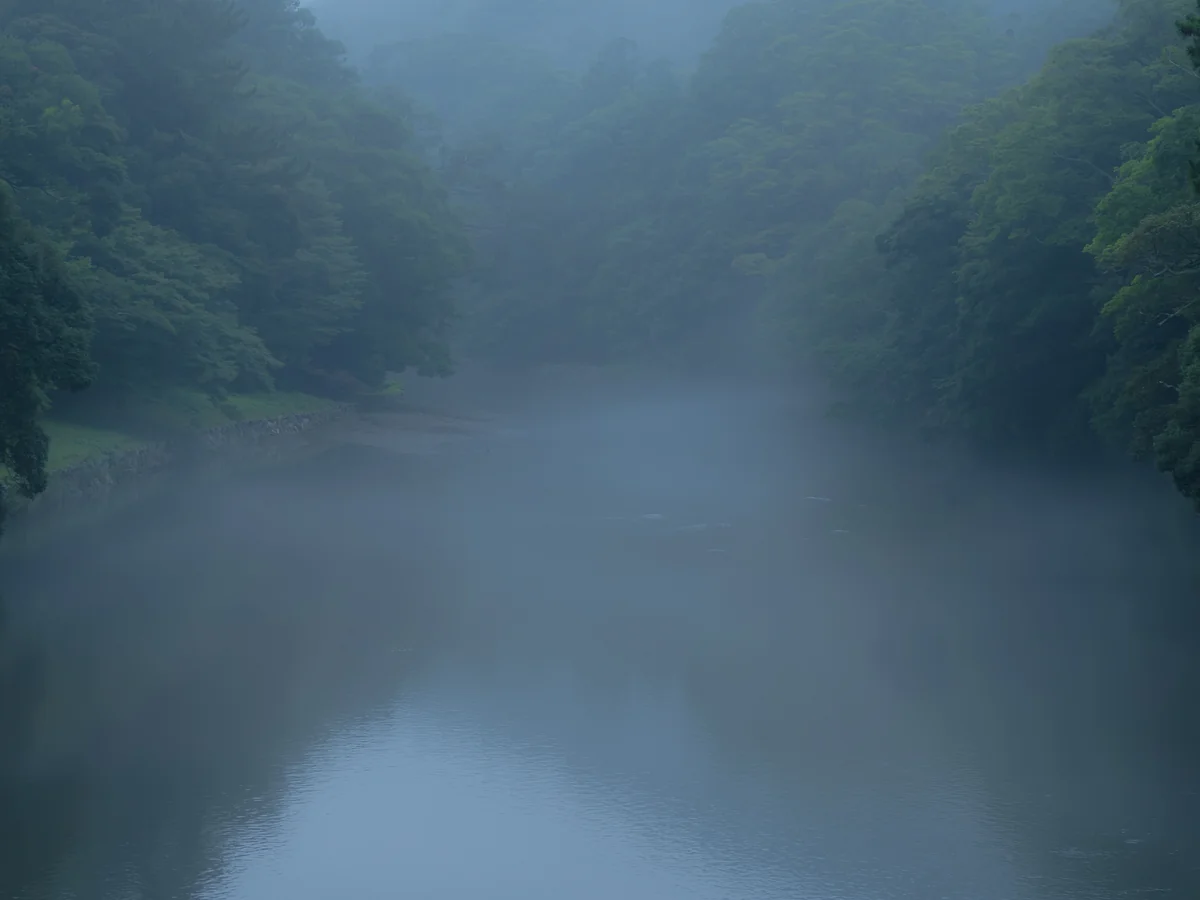 投稿写真：五十鈴川