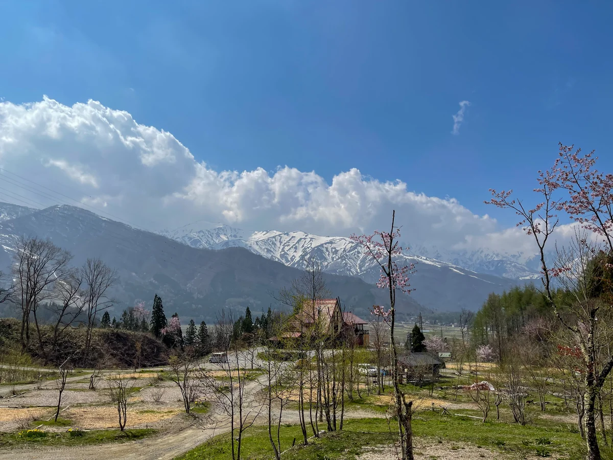 投稿写真：白馬から北アルプス