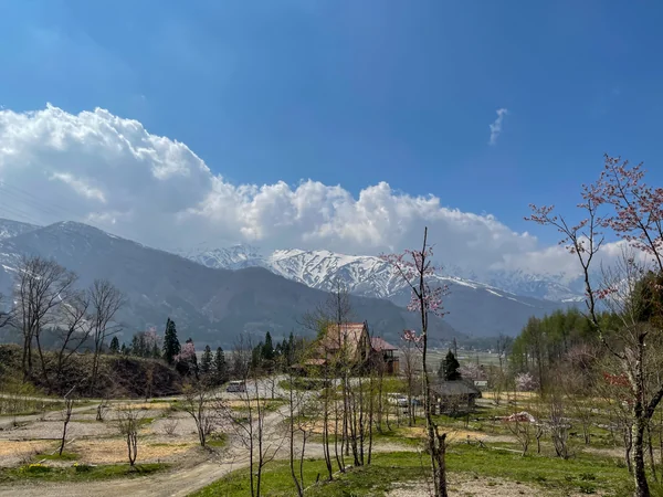 投稿：白馬から北アルプス