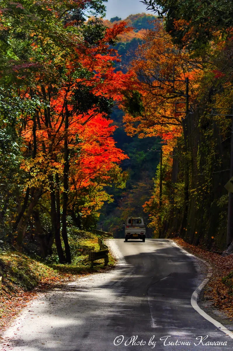 投稿写真：のんびり～秋の峠越え♪