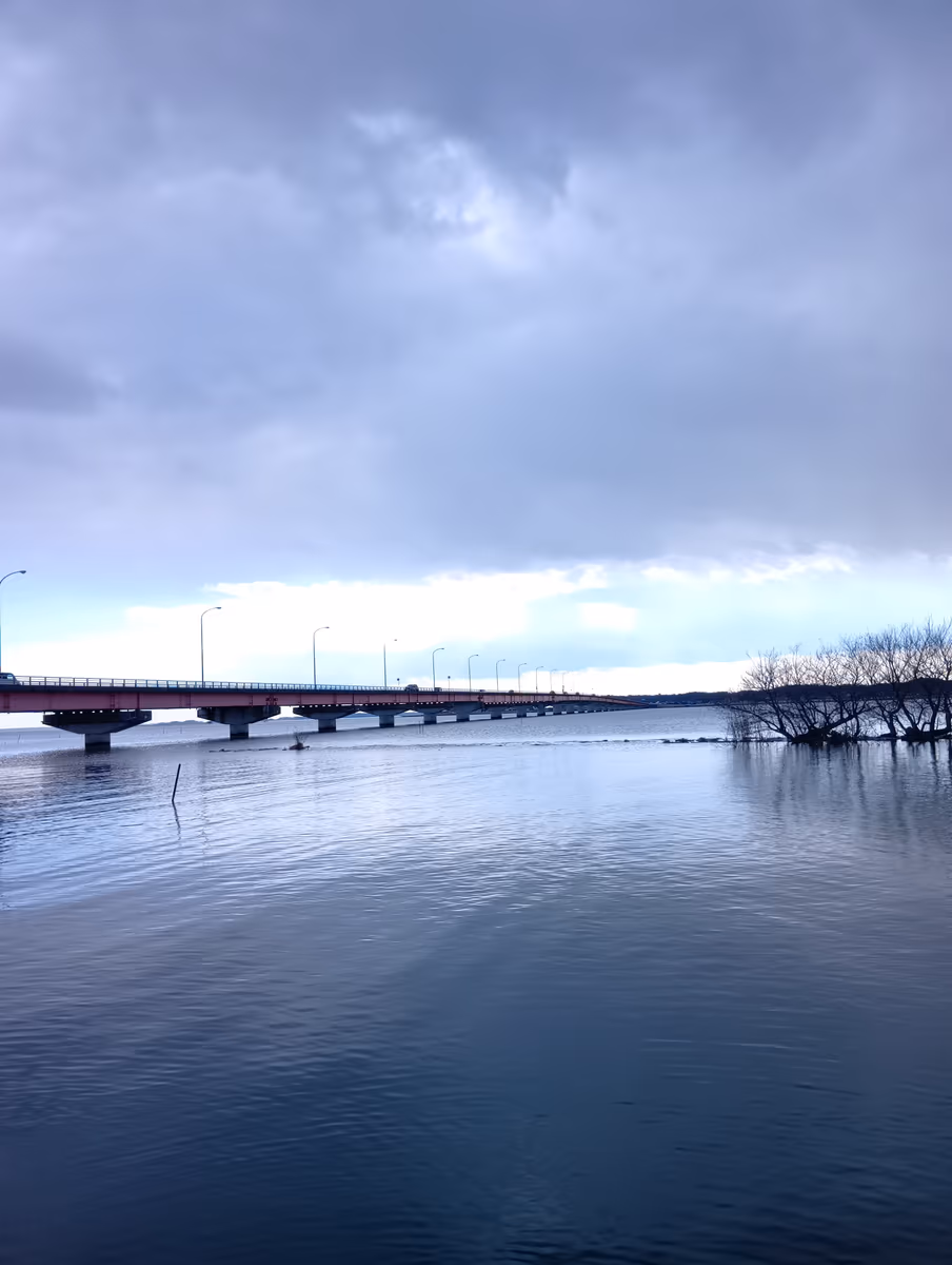 投稿写真：霞ヶ浦と霞ヶ浦大橋
