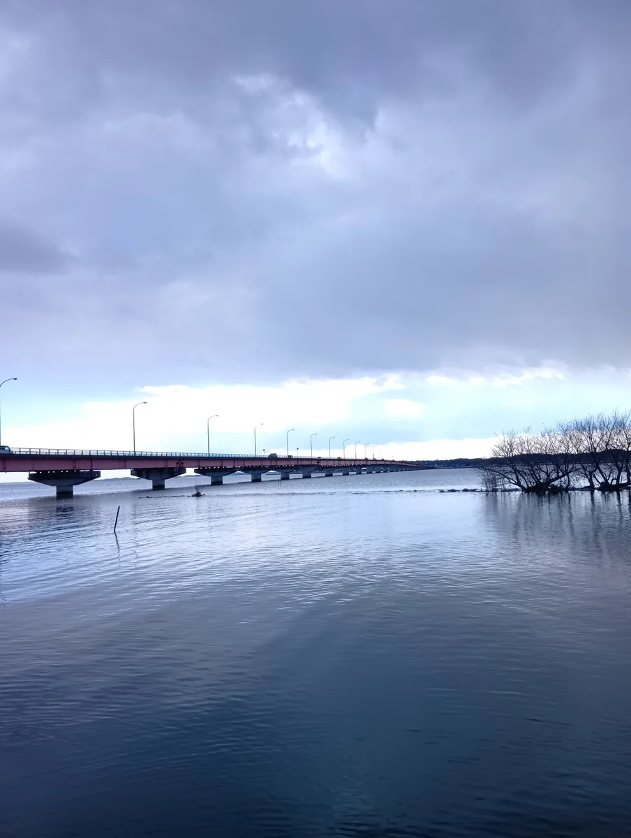投稿写真：霞ヶ浦と霞ヶ浦大橋