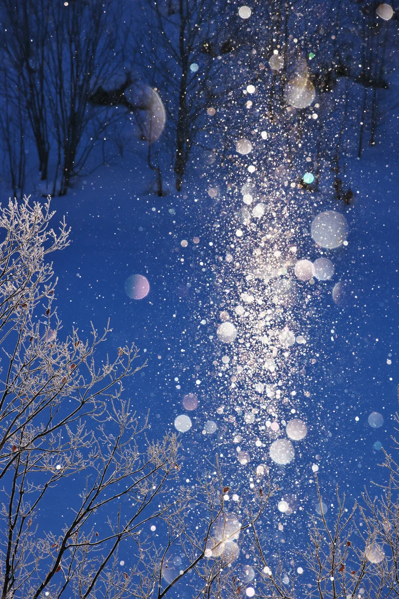 佐藤 元保さんの投稿写真