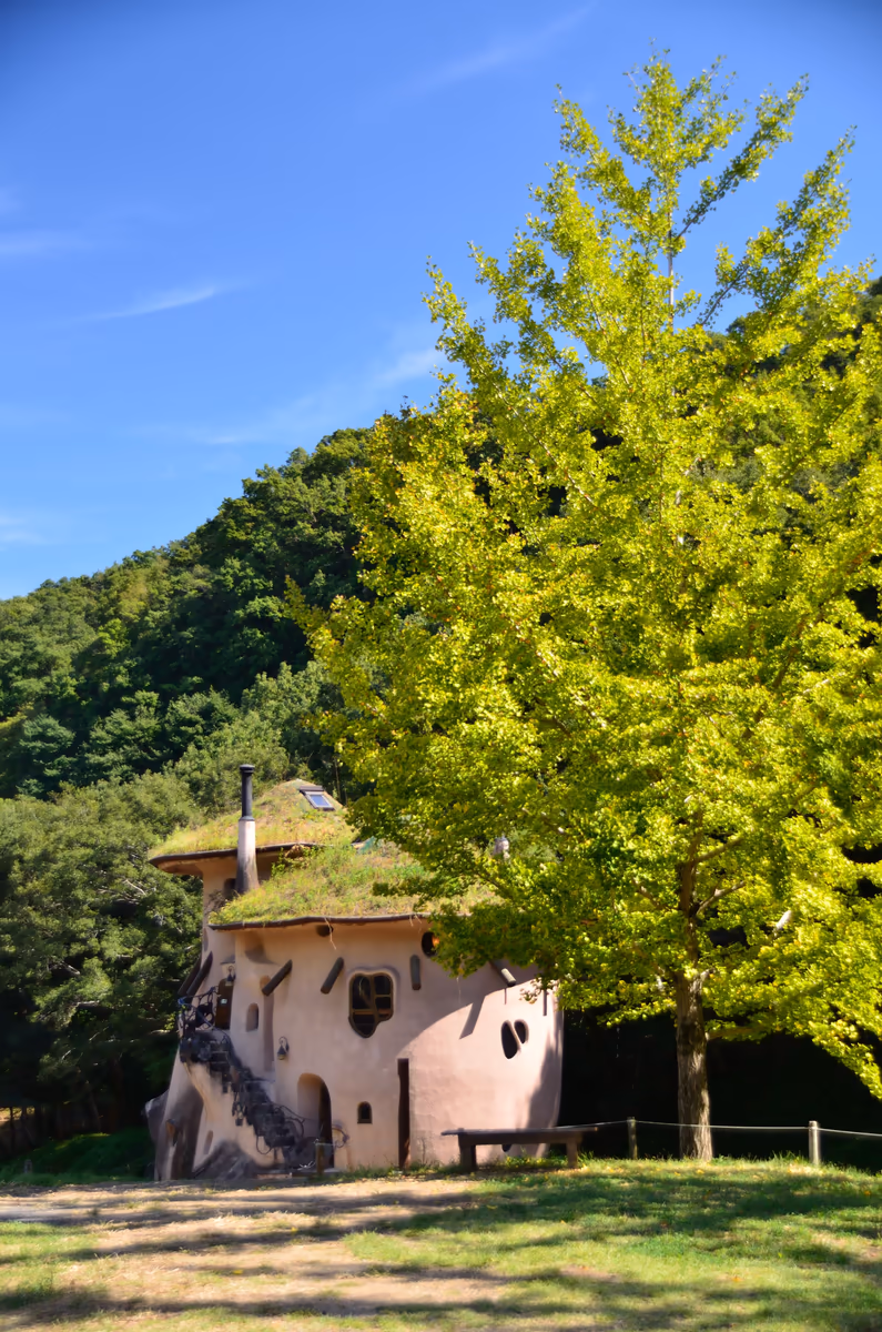 投稿写真：ムーミン　キノコの家