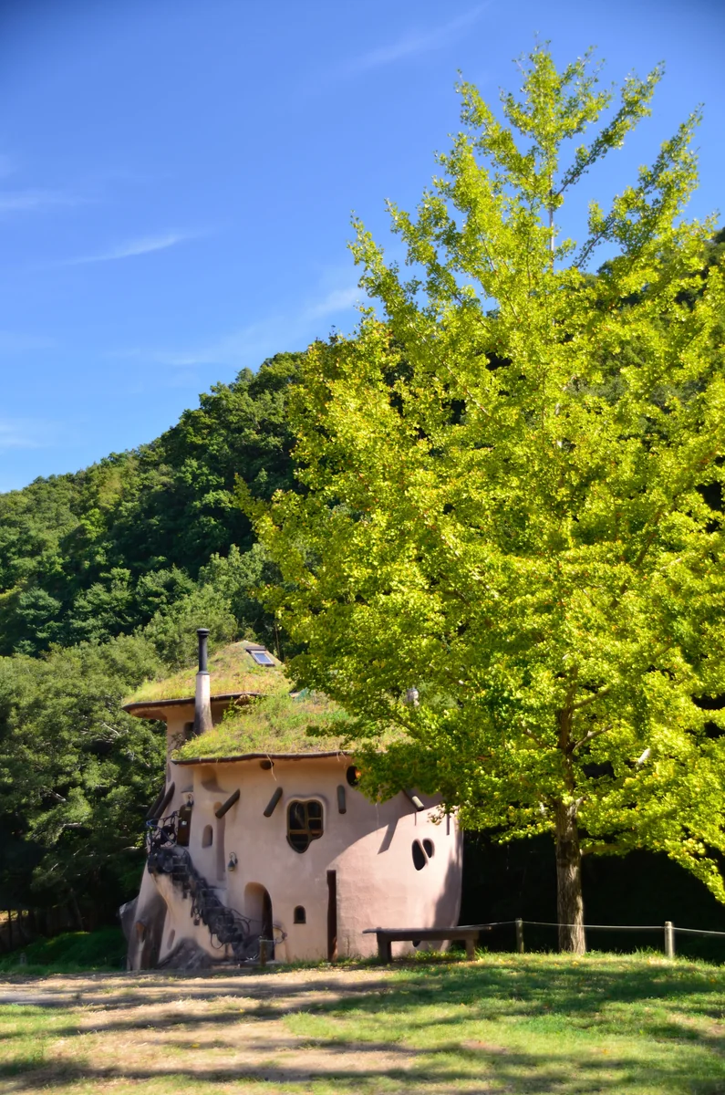 投稿写真：ムーミン　キノコの家