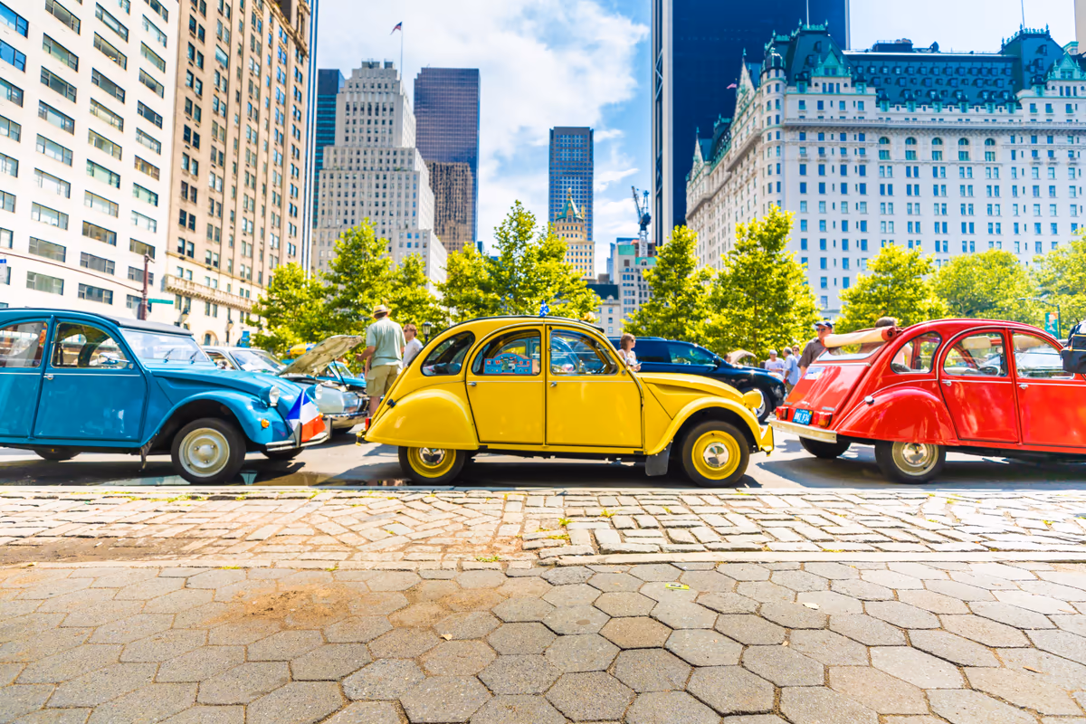 投稿写真：Central Park