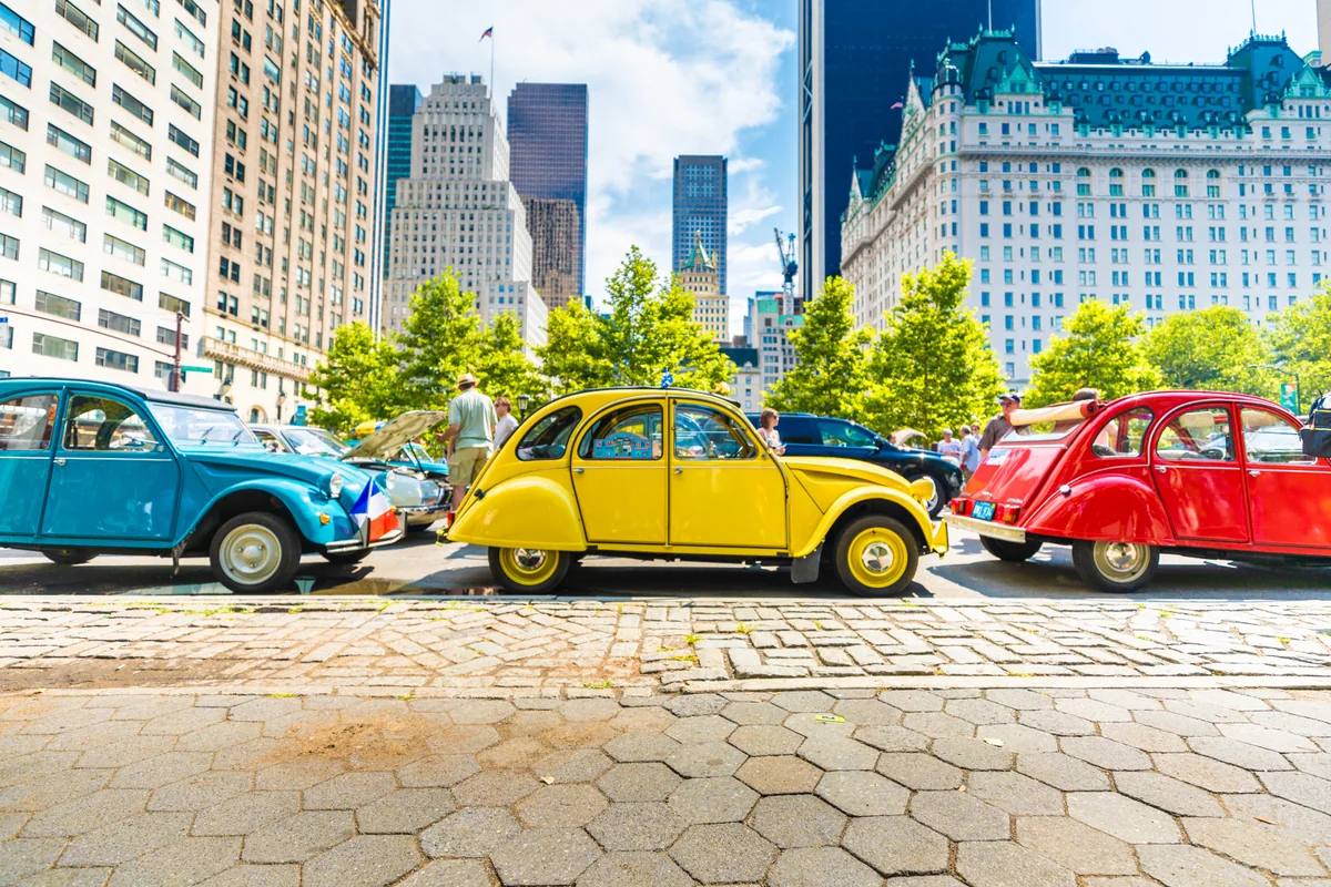 投稿写真：Central Park