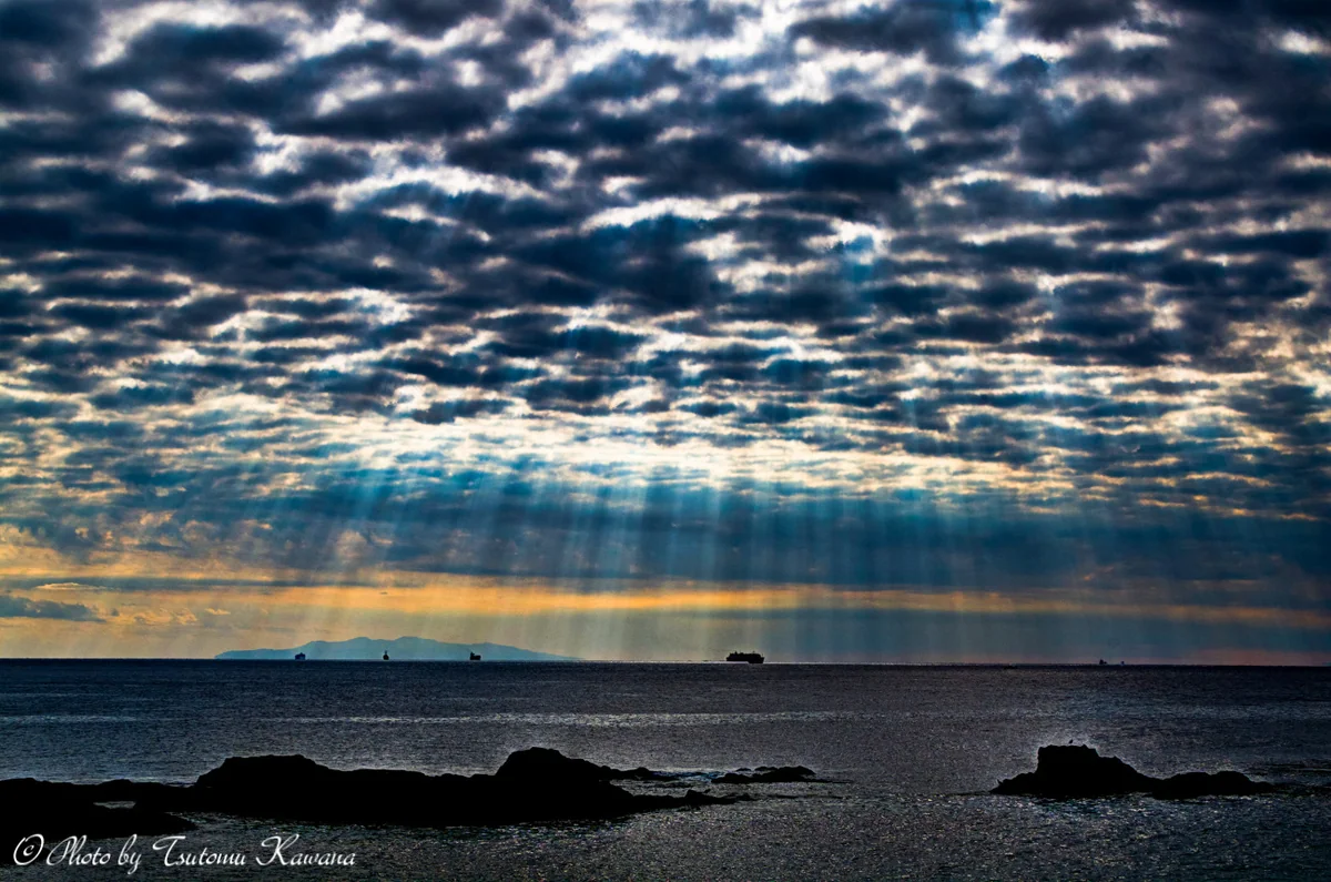 投稿写真：浦賀水道に注ぐ、天使たちの舞う輝き