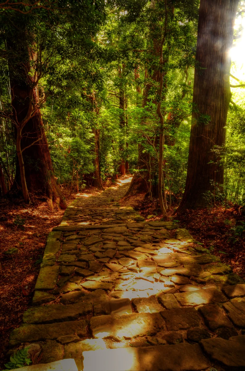 投稿写真：熊野古道　大門坂