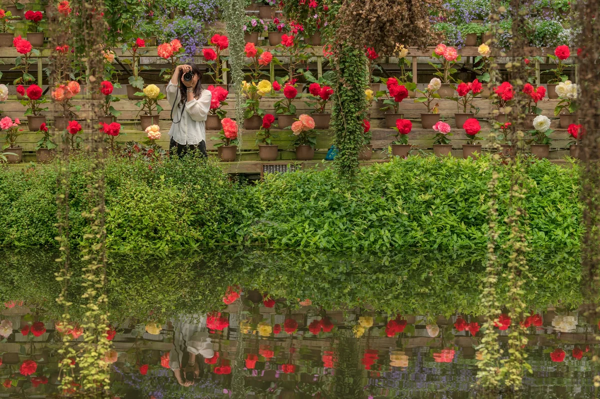投稿写真：花とワイシャツと私