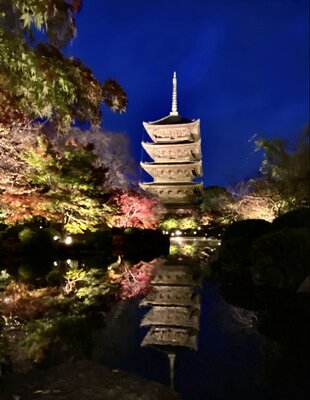  | 絶景事典