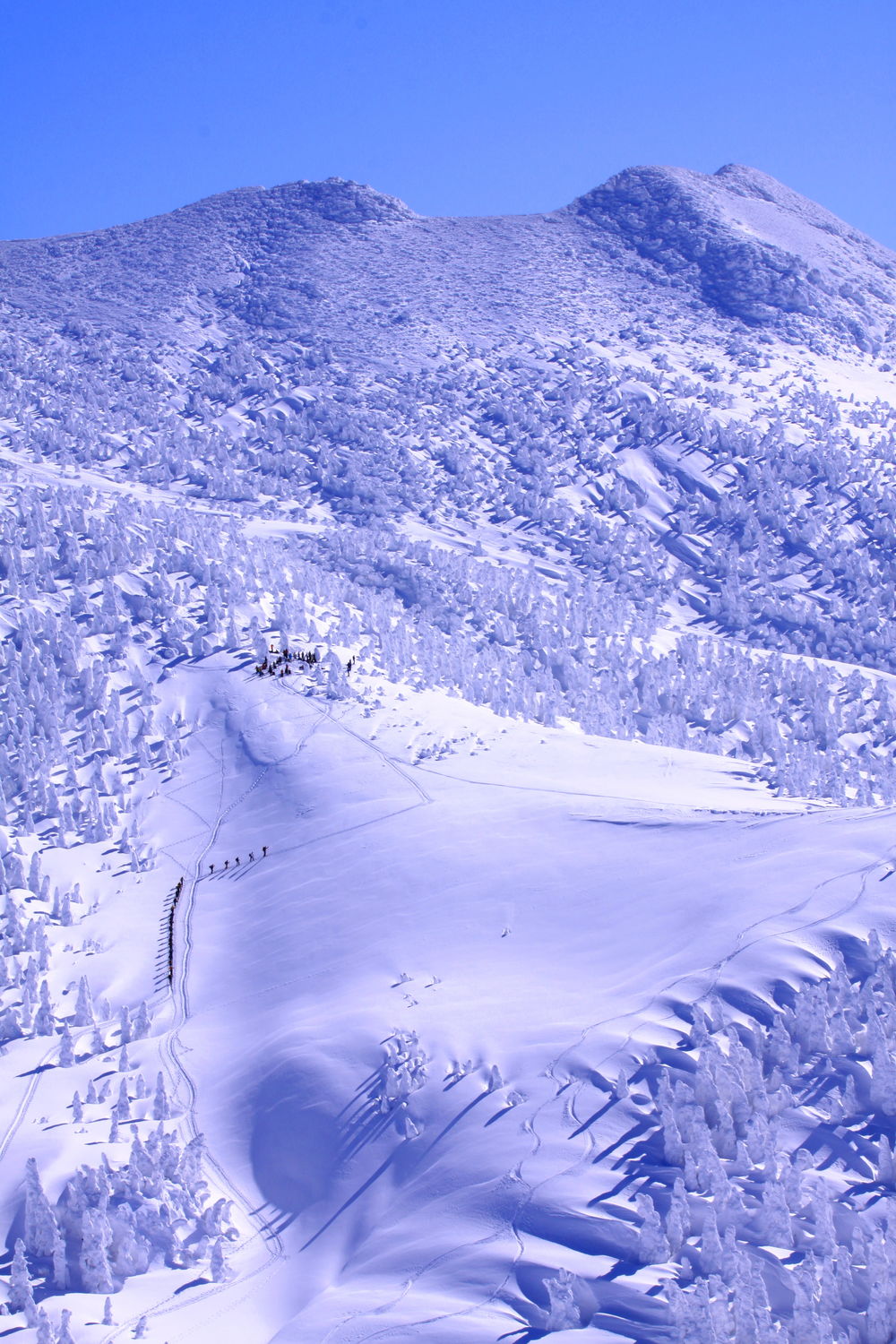 投稿写真：バックカントリー