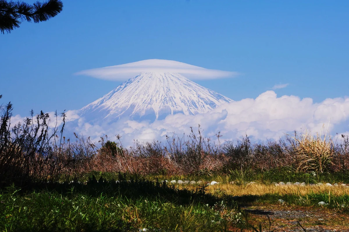 バケット君さんの投稿写真
