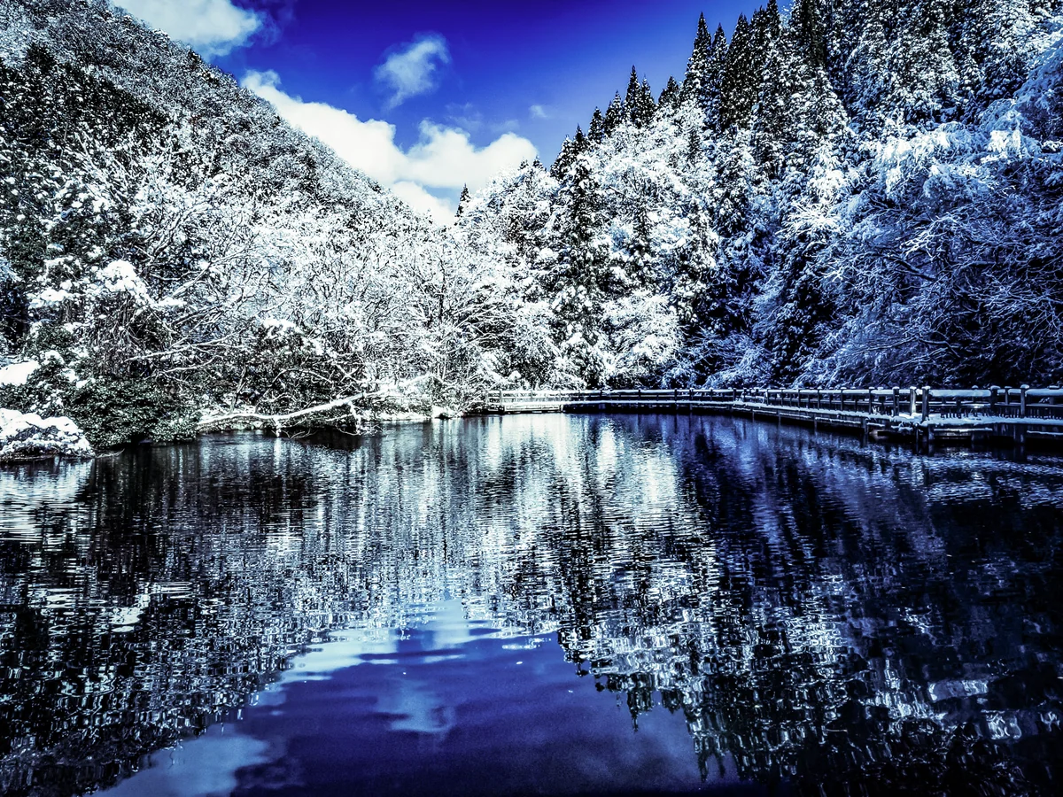 投稿写真：絶景もみじ池の雪景色