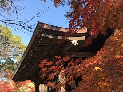  | 絶景事典