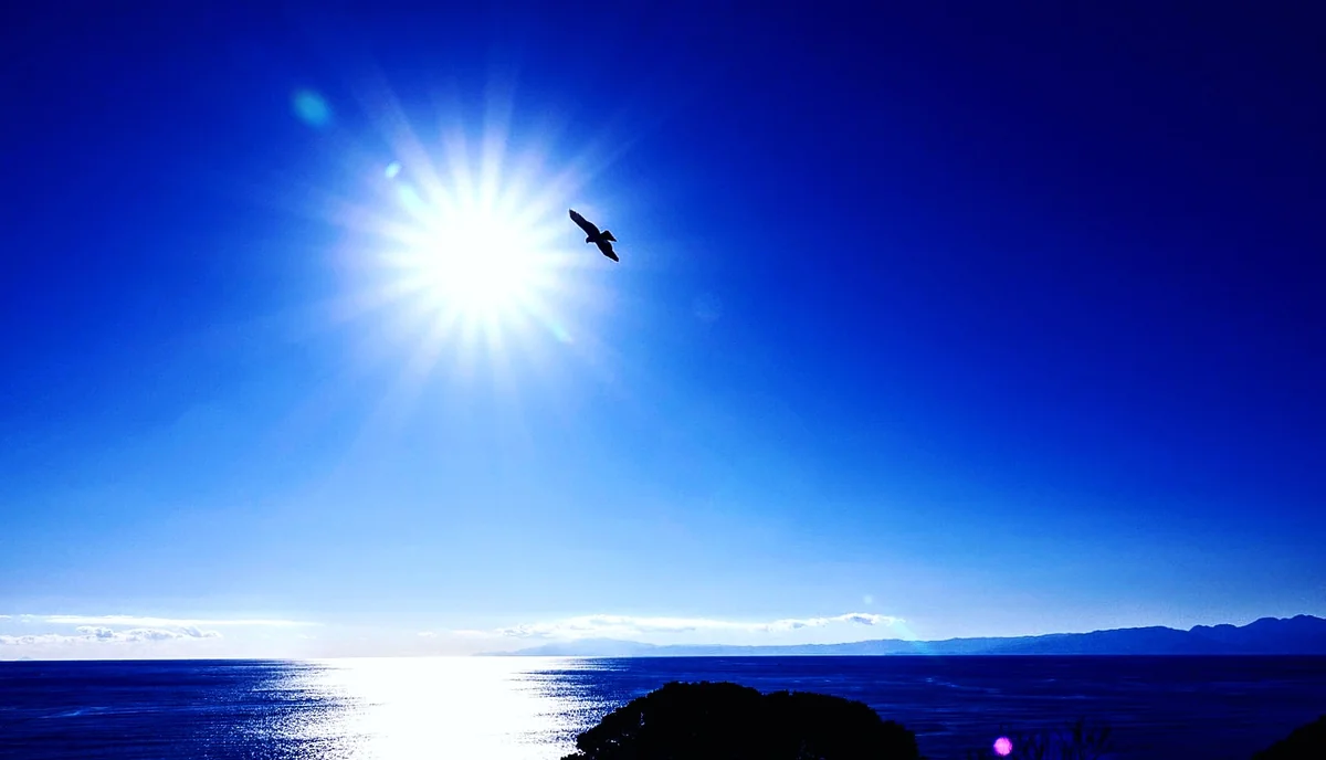 投稿写真：江ノ島〜新年の風景