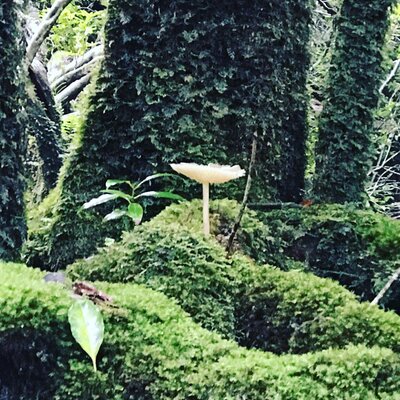  | 絶景事典
