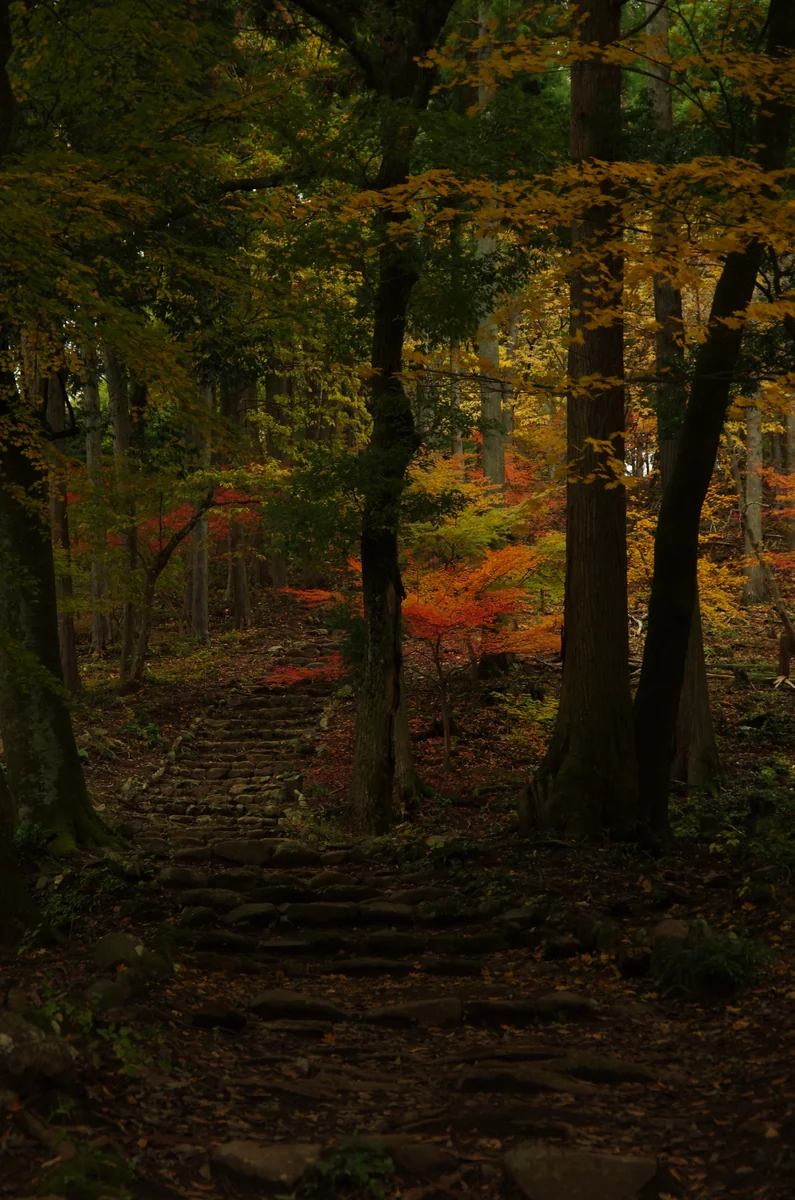 投稿写真：鶏足寺