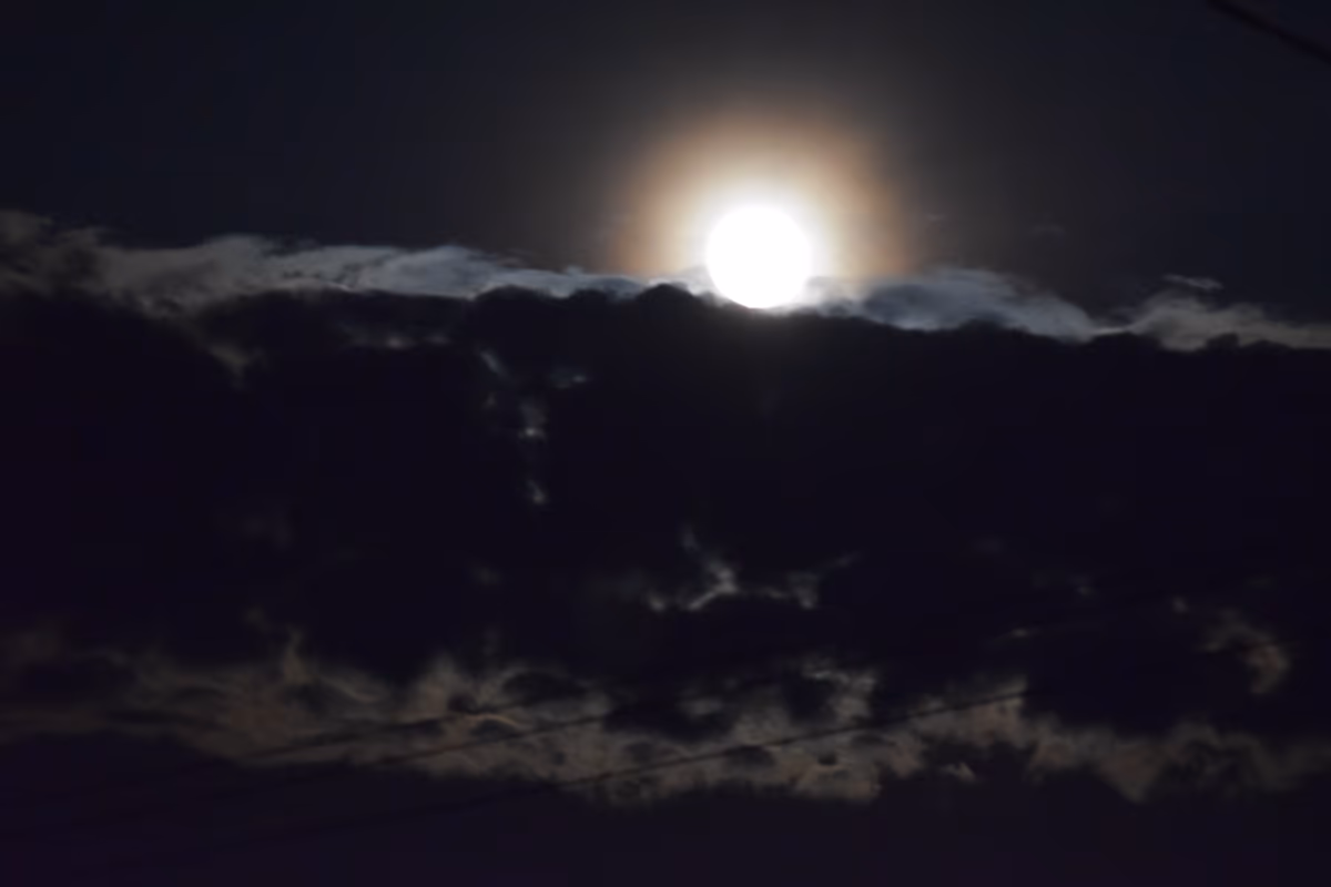 投稿写真：満月の夜