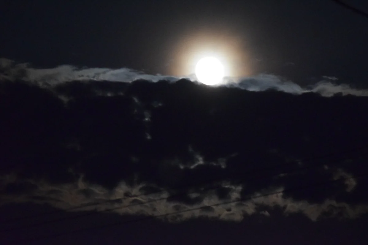 投稿写真：満月の夜