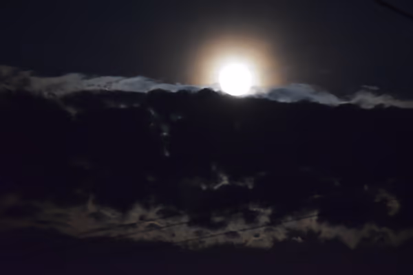 投稿：満月の夜