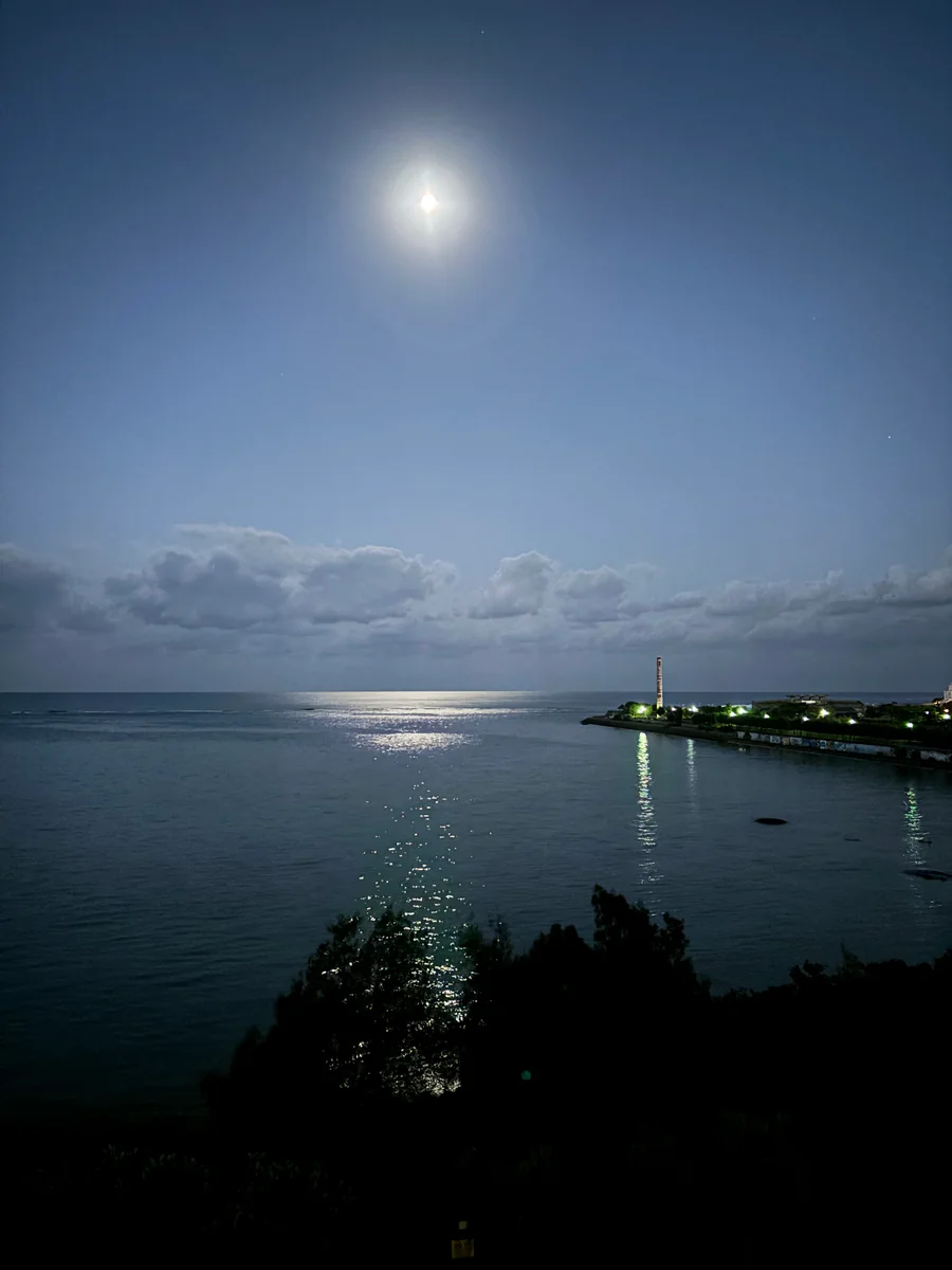 投稿写真：月の階段