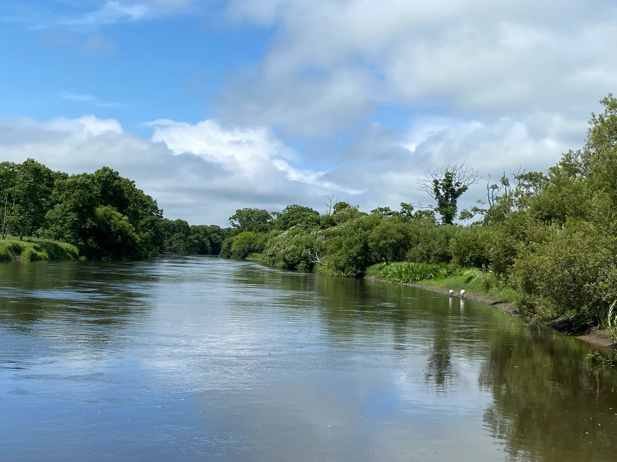 投稿写真：たんちょう鶴のいる釧路湿原