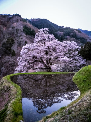  | 絶景事典