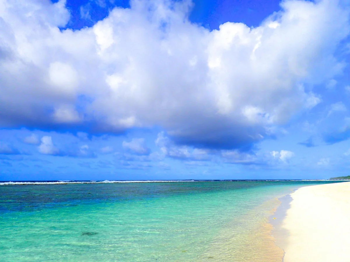 投稿写真：ロタ