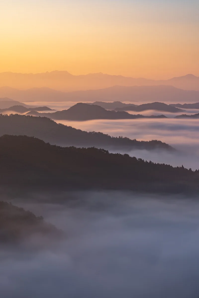 投稿写真：雲海の朝焼け