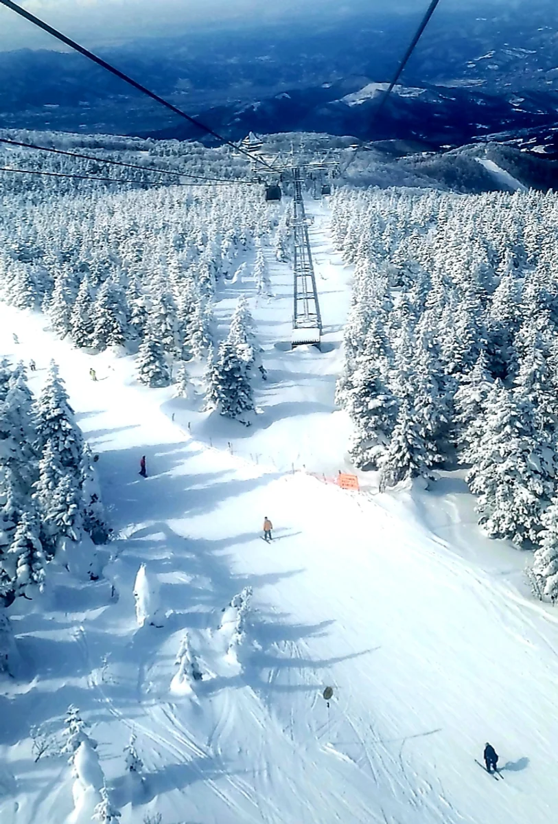 投稿写真：蔵王