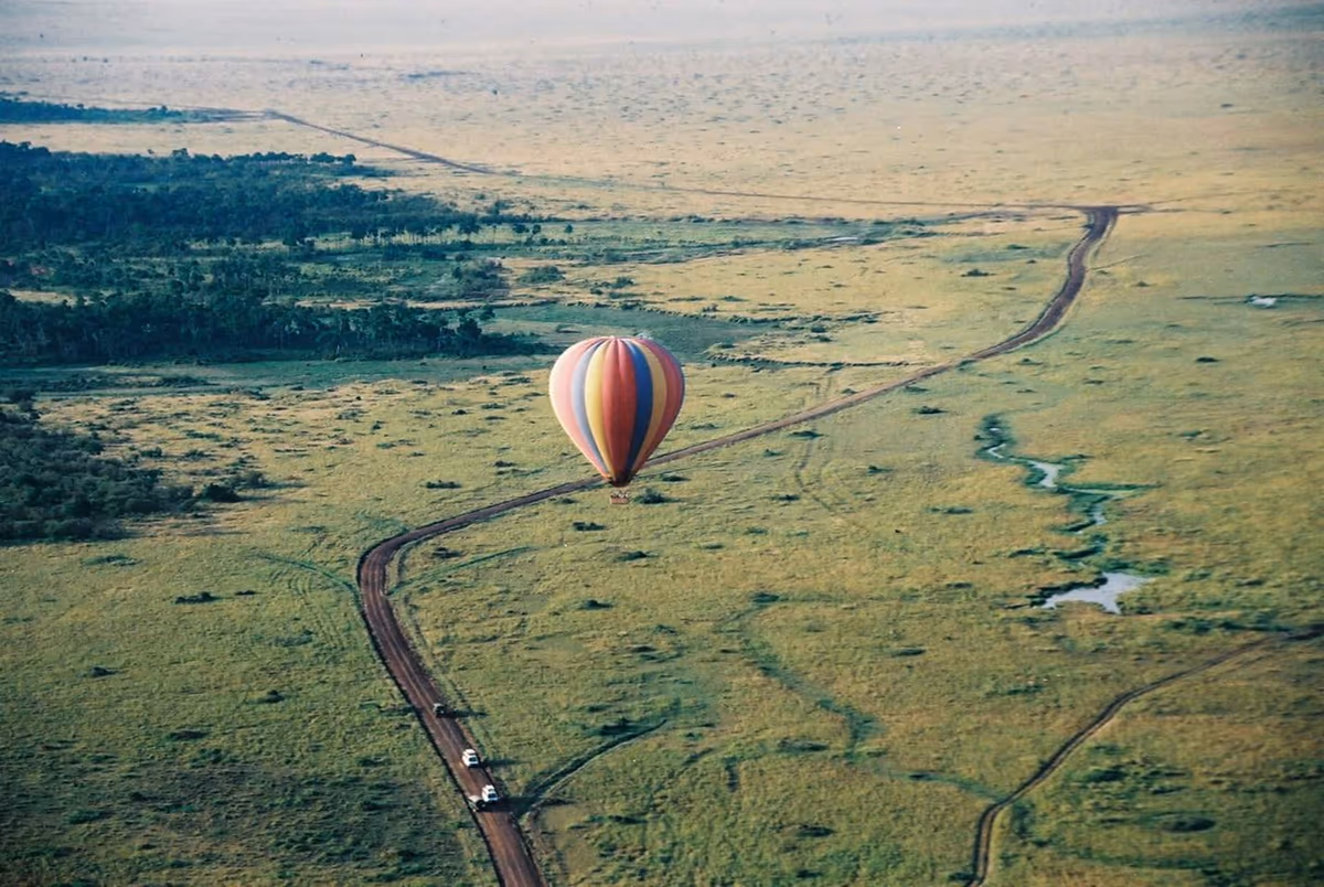 投稿写真：バルーン・サファリ
