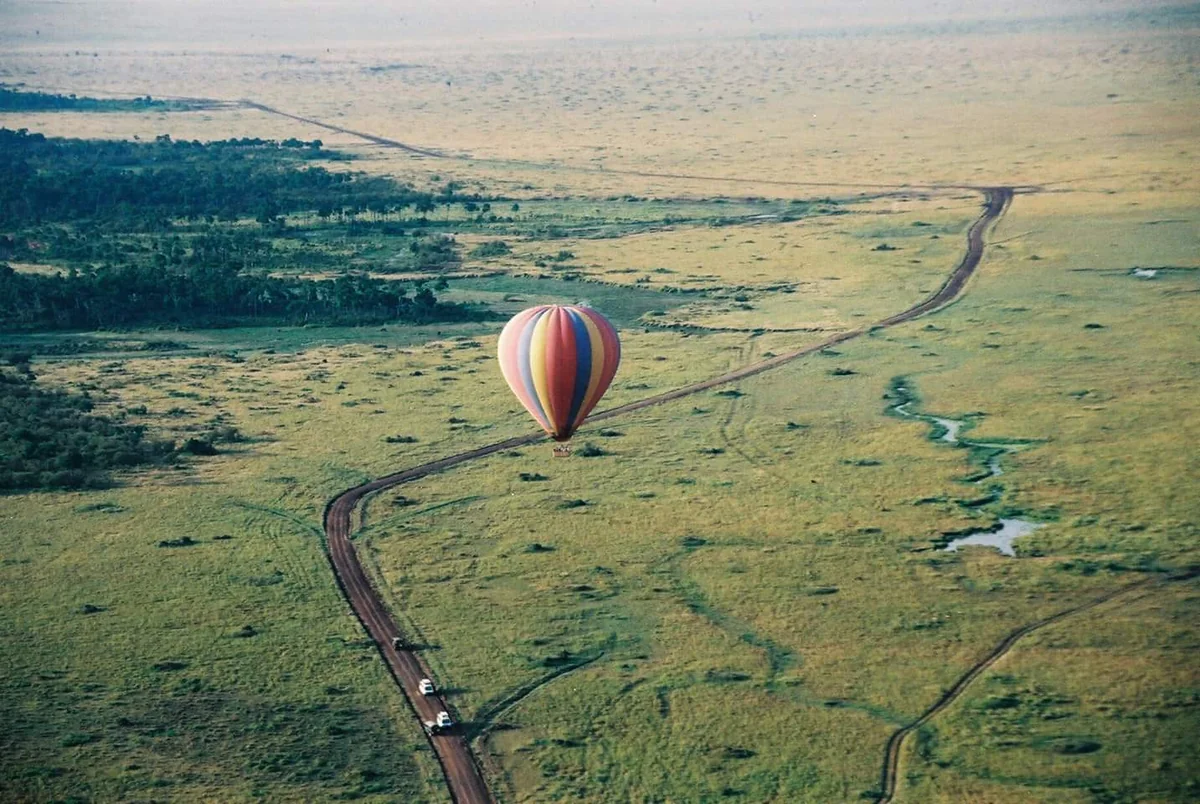 投稿写真：バルーン・サファリ