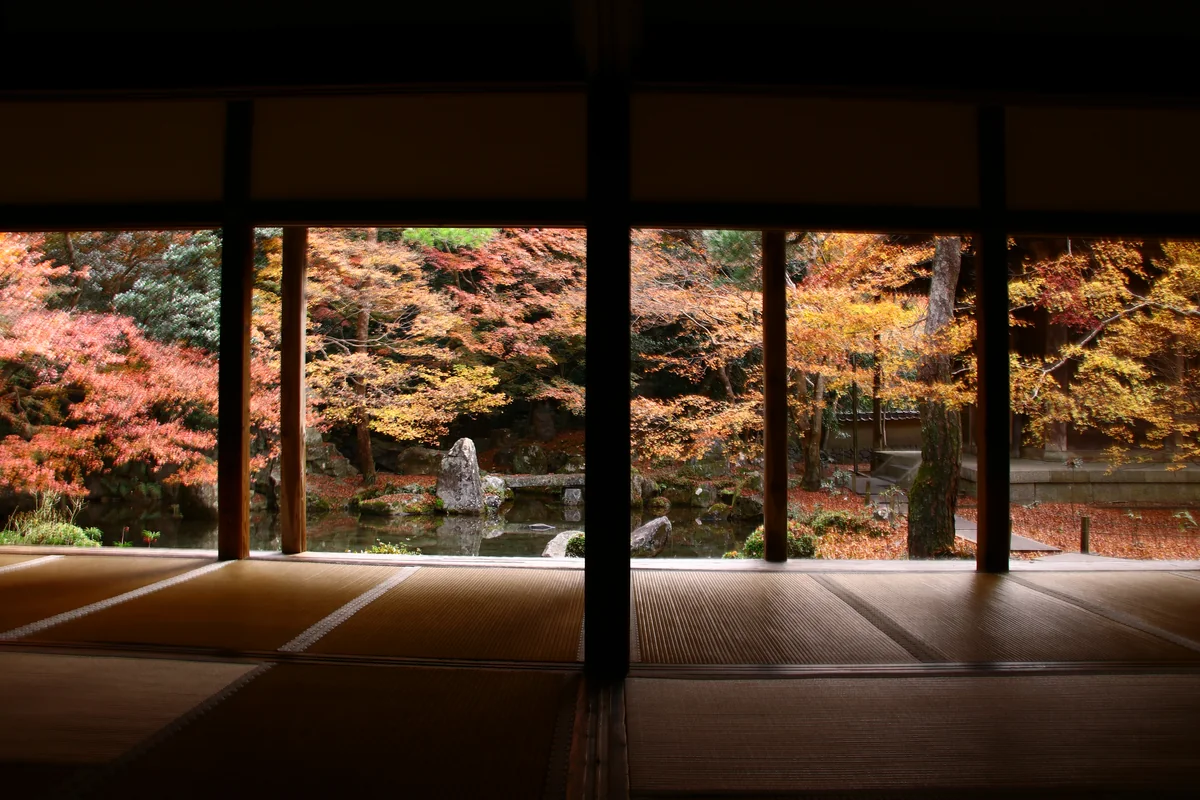 投稿写真：京紅葉