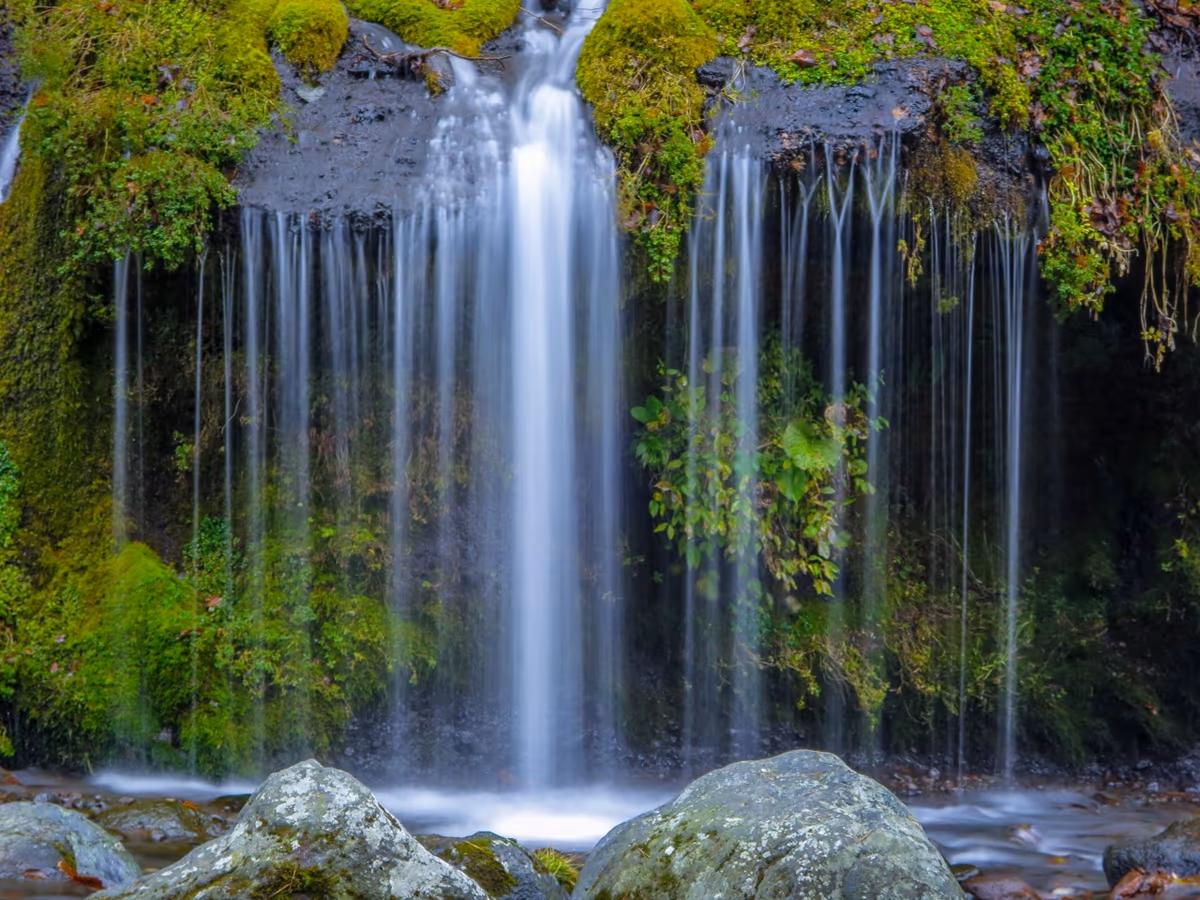投稿写真：水のカーテン