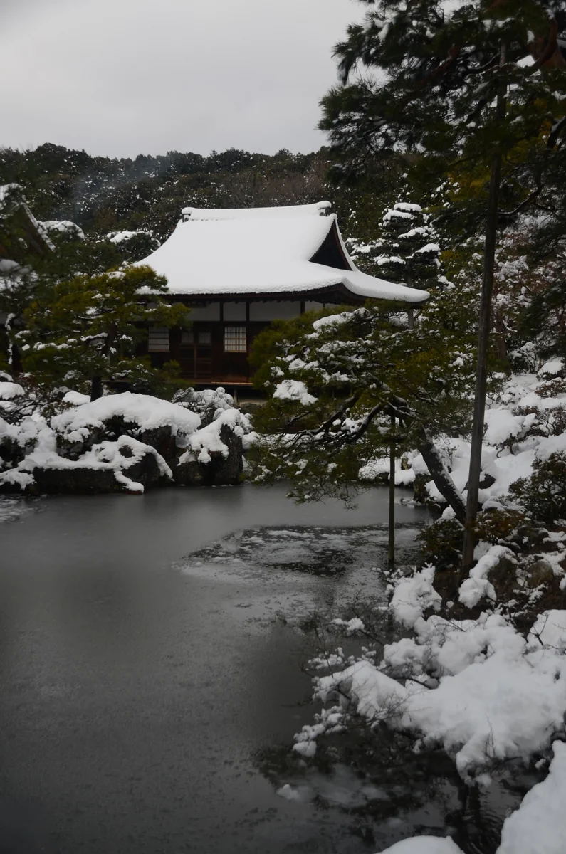 投稿写真：雪の慈照寺東求堂