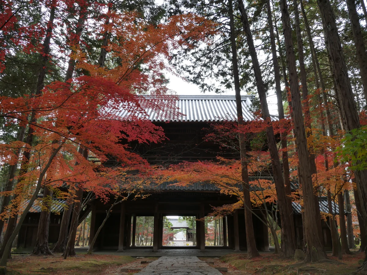 投稿写真：曹源寺