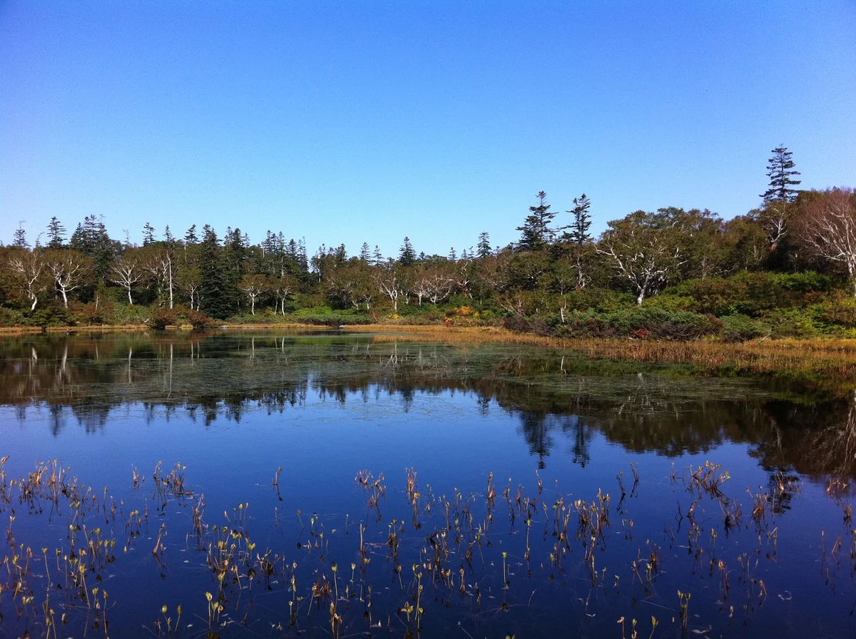 投稿写真：神様が住まう沼