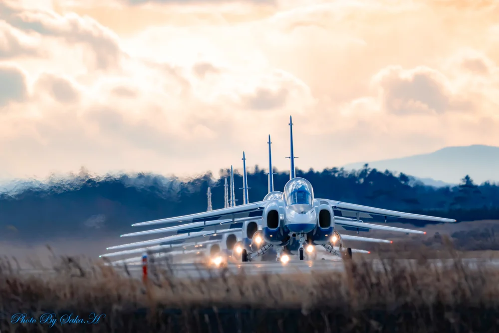 投稿写真：整列