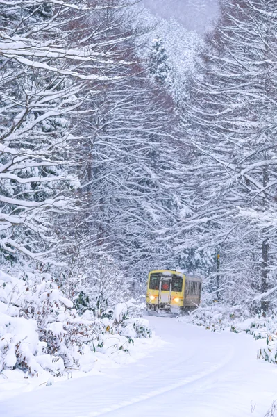 投稿：白銀の世界を駆け抜ける