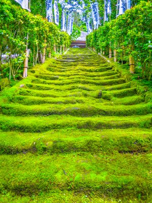  | 絶景事典