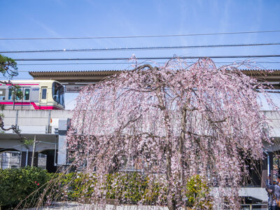  | 絶景事典