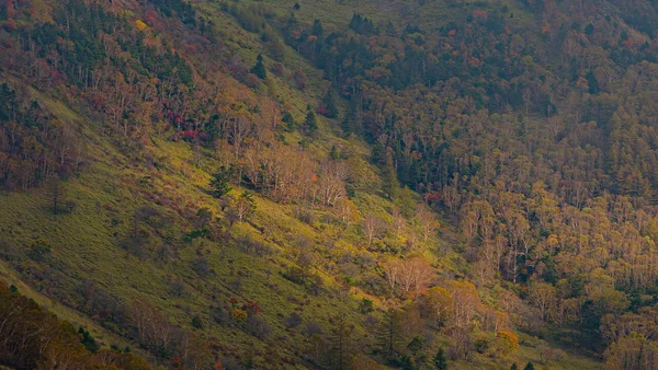 投稿：美ヶ原王ケ頭