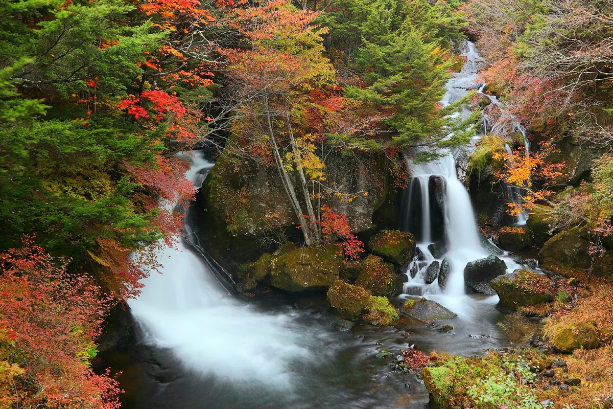 投稿写真：紅葉🍁