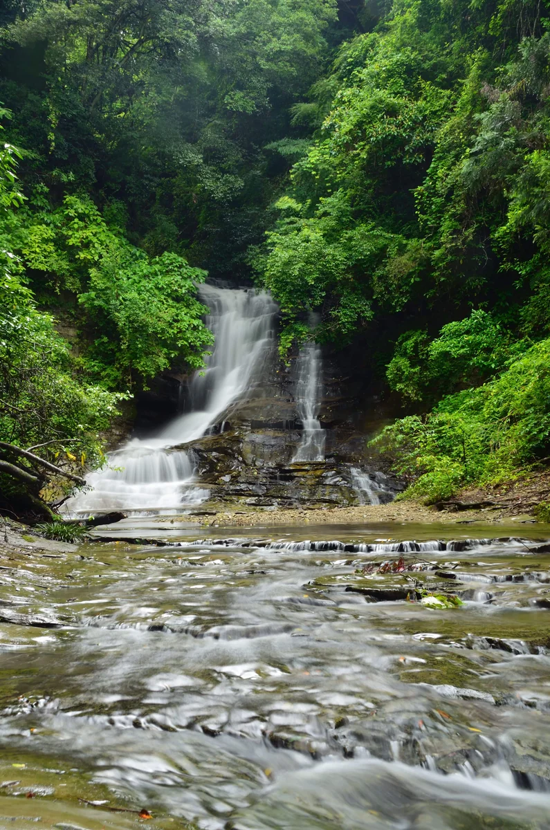 投稿写真：雨の中の養老渓谷